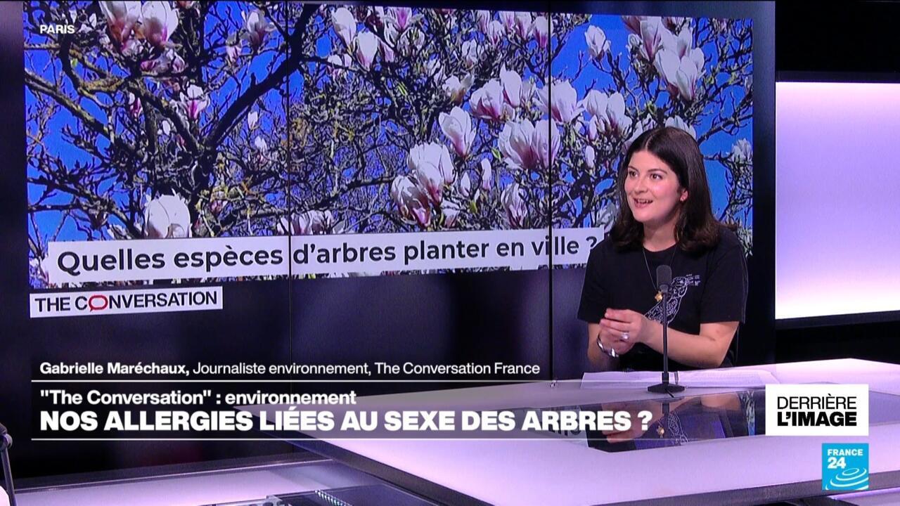 Explosion des allergies en ville : un cocktail de pollen, pollution et climat ? Explosion des allergies en ville : un cocktail de pollen, pollution et climat ?