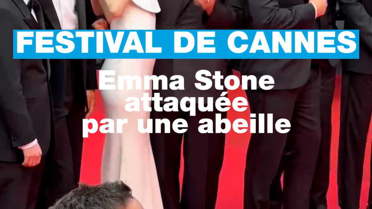 Festival de Cannes : Emma Stone attaquée par une abeille Festival de Cannes : Emma Stone attaquée par une abeille